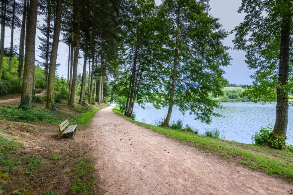 Le Lac des Sapins, Cublize
