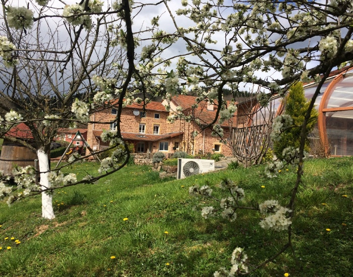 Maison en pierre au printemps: jardin fleuri et serre rurale. Maison en pierre avec serre et unité de climatisation, au milieu d'un jardin printanier fleuri. Branches blanches d'arbre en fleurs au premier plan.